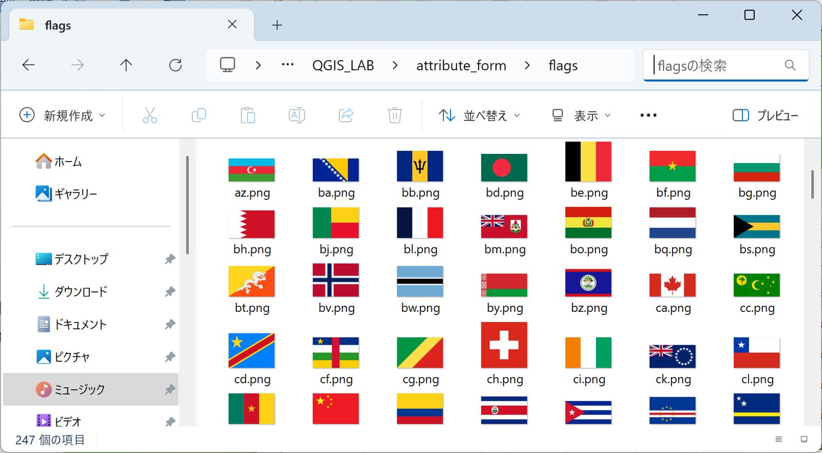 The flag image files are stored in the flags directory
