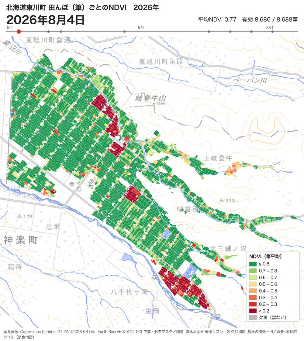 Sentinel-2画像から北海道東川町の田んぼ（筆）ごとにNDVIを集計し、8月以降の推移をアニメーションにした例