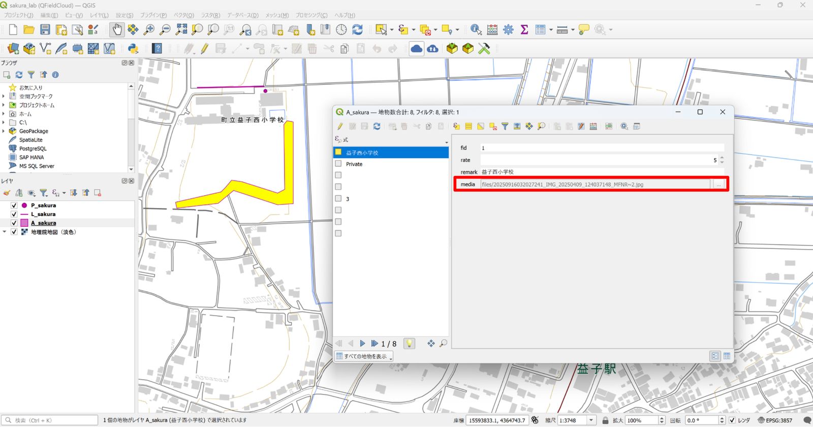 The paths of the attached files displayed (created by processing GSI Tiles)