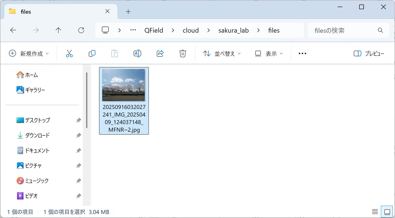 The attached files stored in the files folder