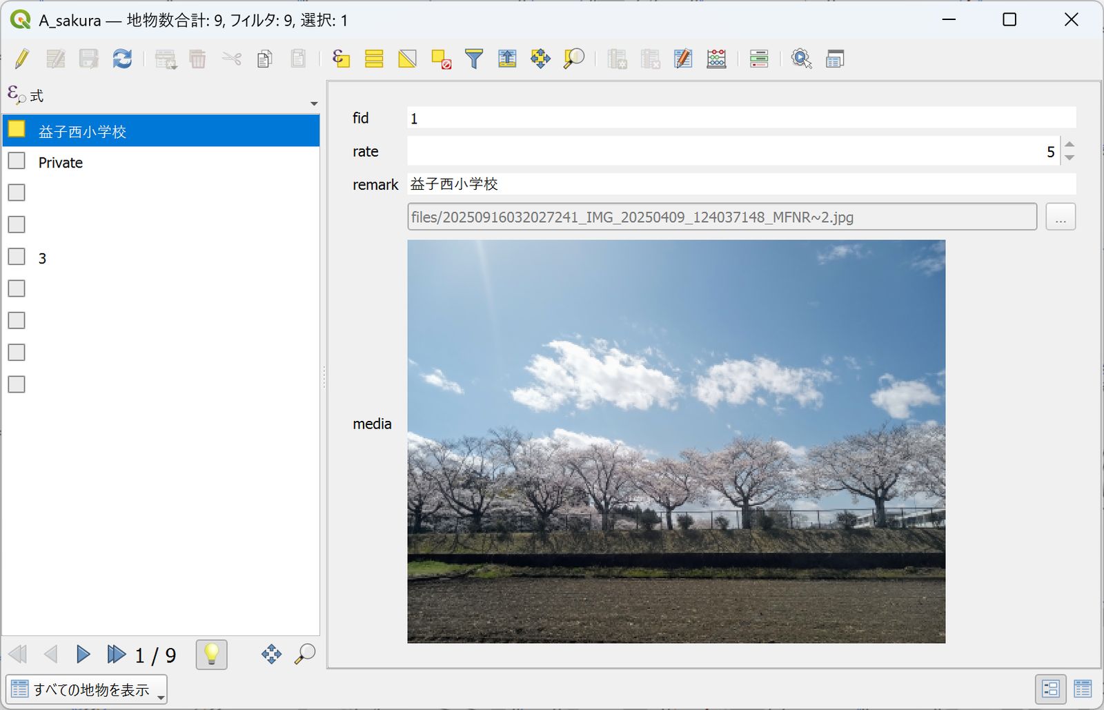 An image registered in QField displayed in the QGIS attribute form