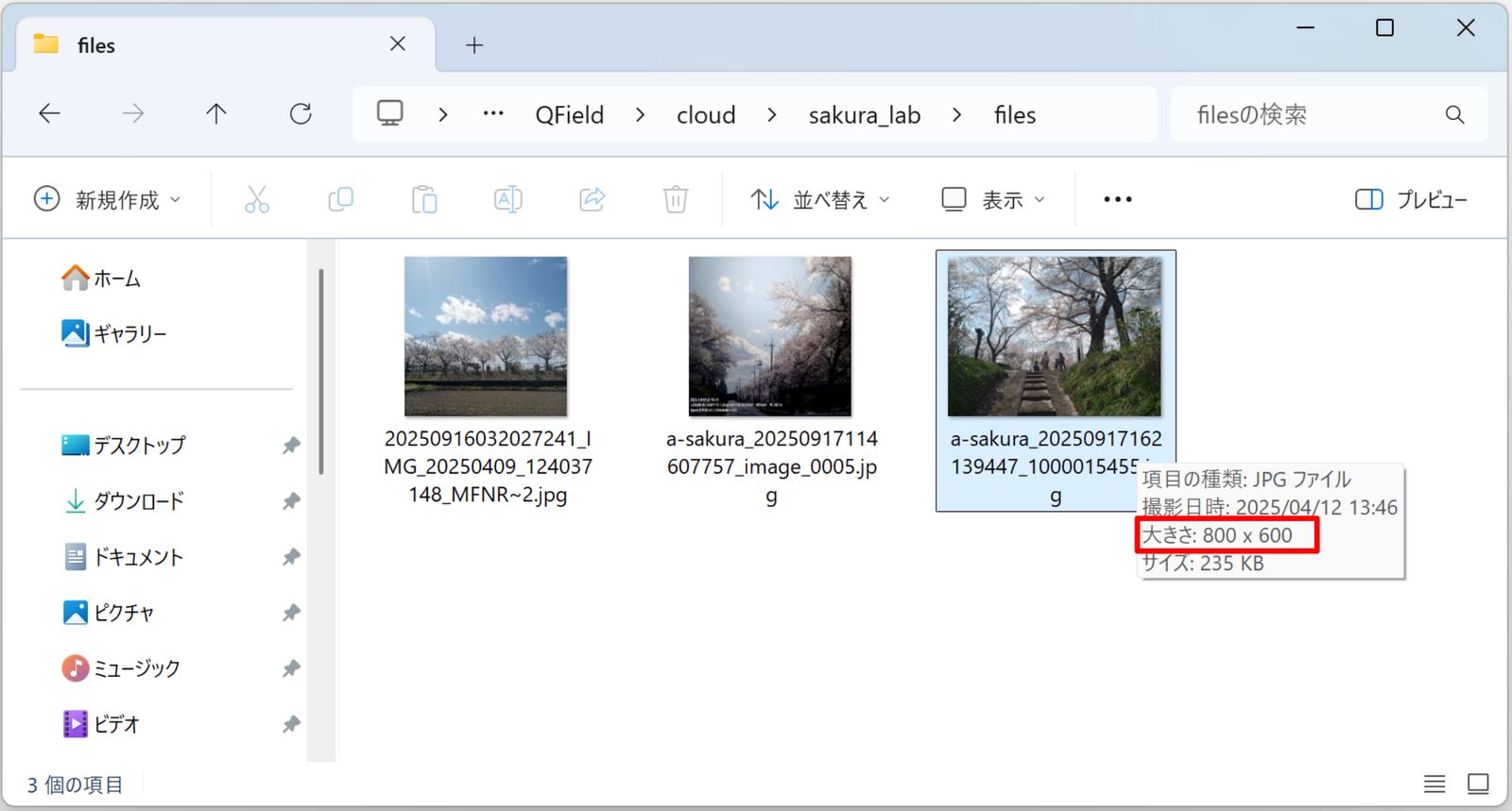 An image automatically compressed to 800 pixels