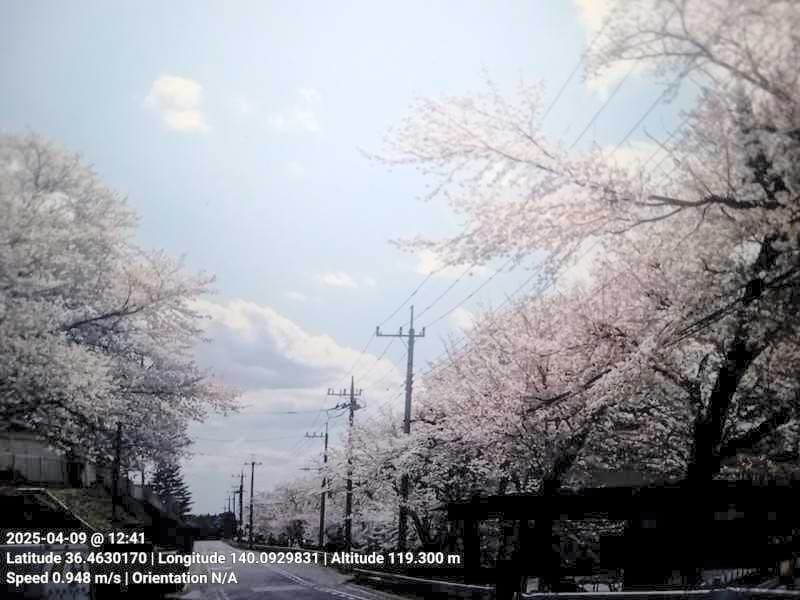 Information automatically added to the photo