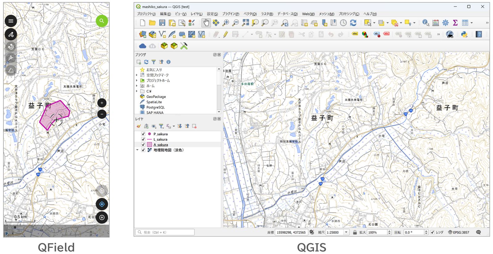 The features added in QField are not in the original QGIS project (created by processing GSI Tiles)