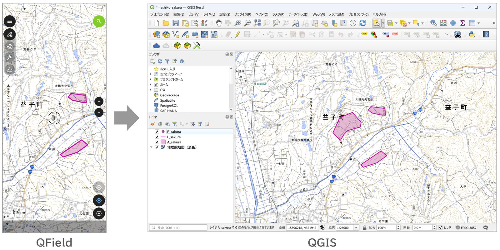The features added by multiple users appear in the QGIS project (created by processing GSI Tiles)