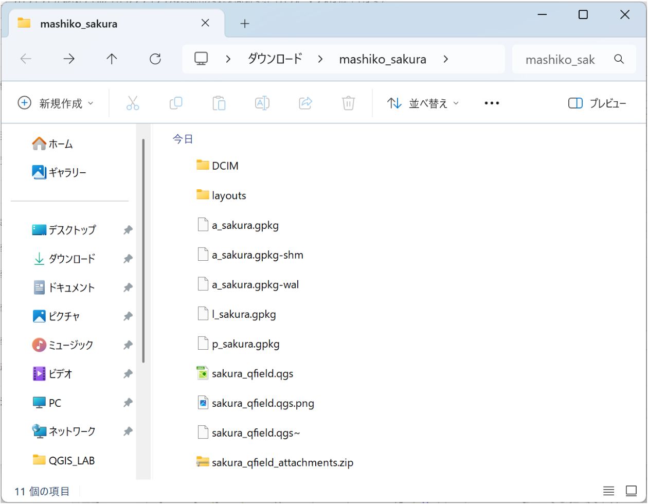 The QField project transferred to the PC