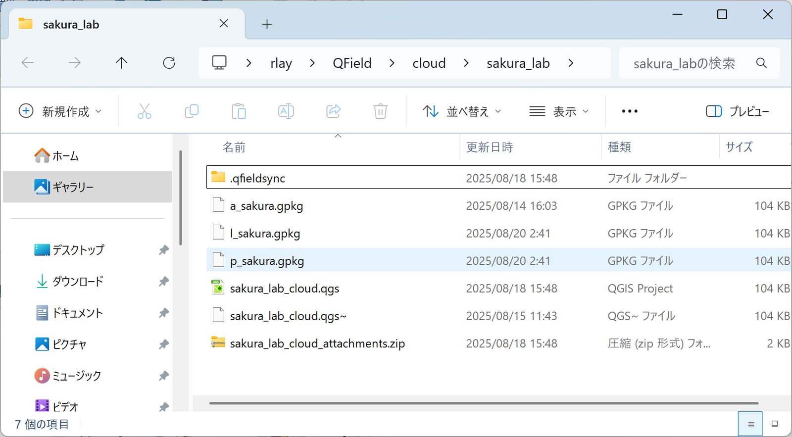 An example of a QFieldCloud project
