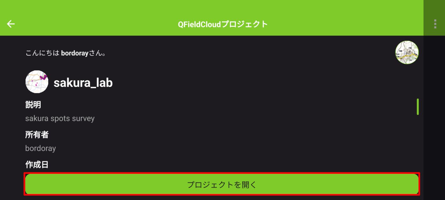Tap the Open project button on the project details screen