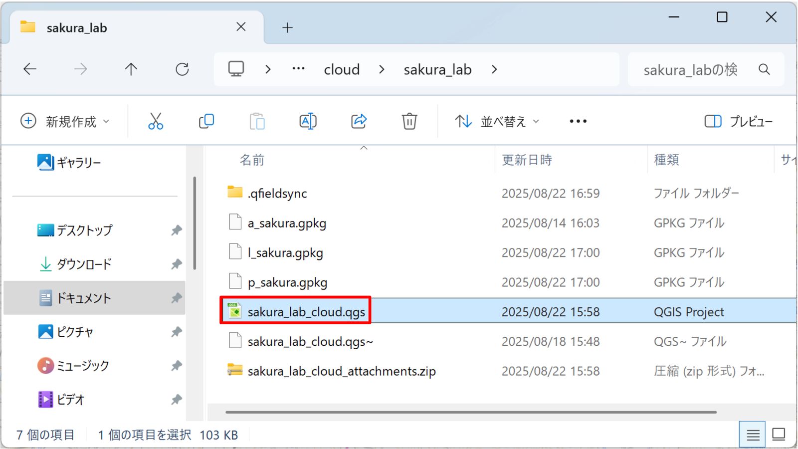 Open the QFieldCloud project stored in the local directory
