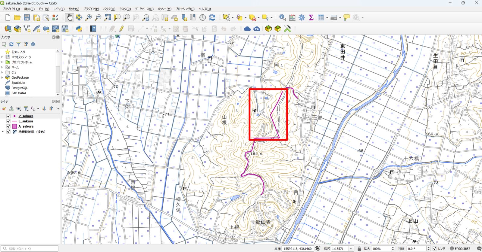 The added features appear on the map canvas (created by processing GSI Tiles)