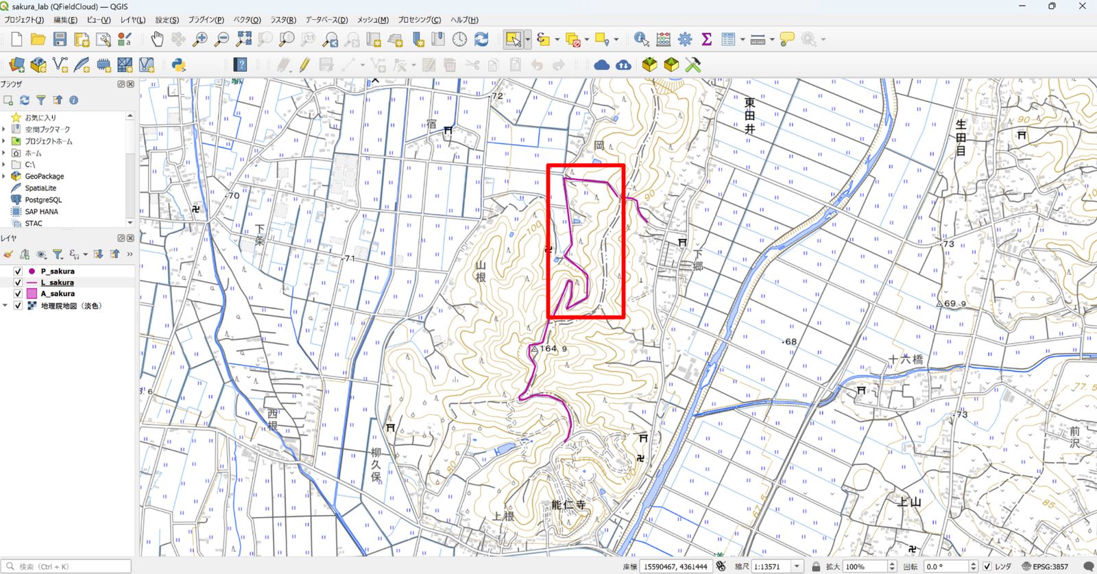 Editing the geometry of the line layer (created by processing GSI Tiles)