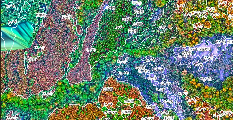 Layering the laser forest type map and tree species polygons