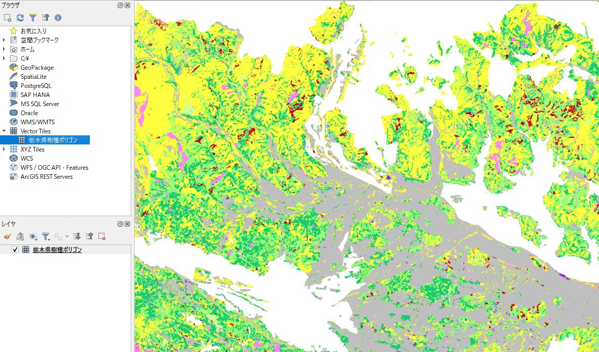 Vector tiles (tree species polygons) displayed