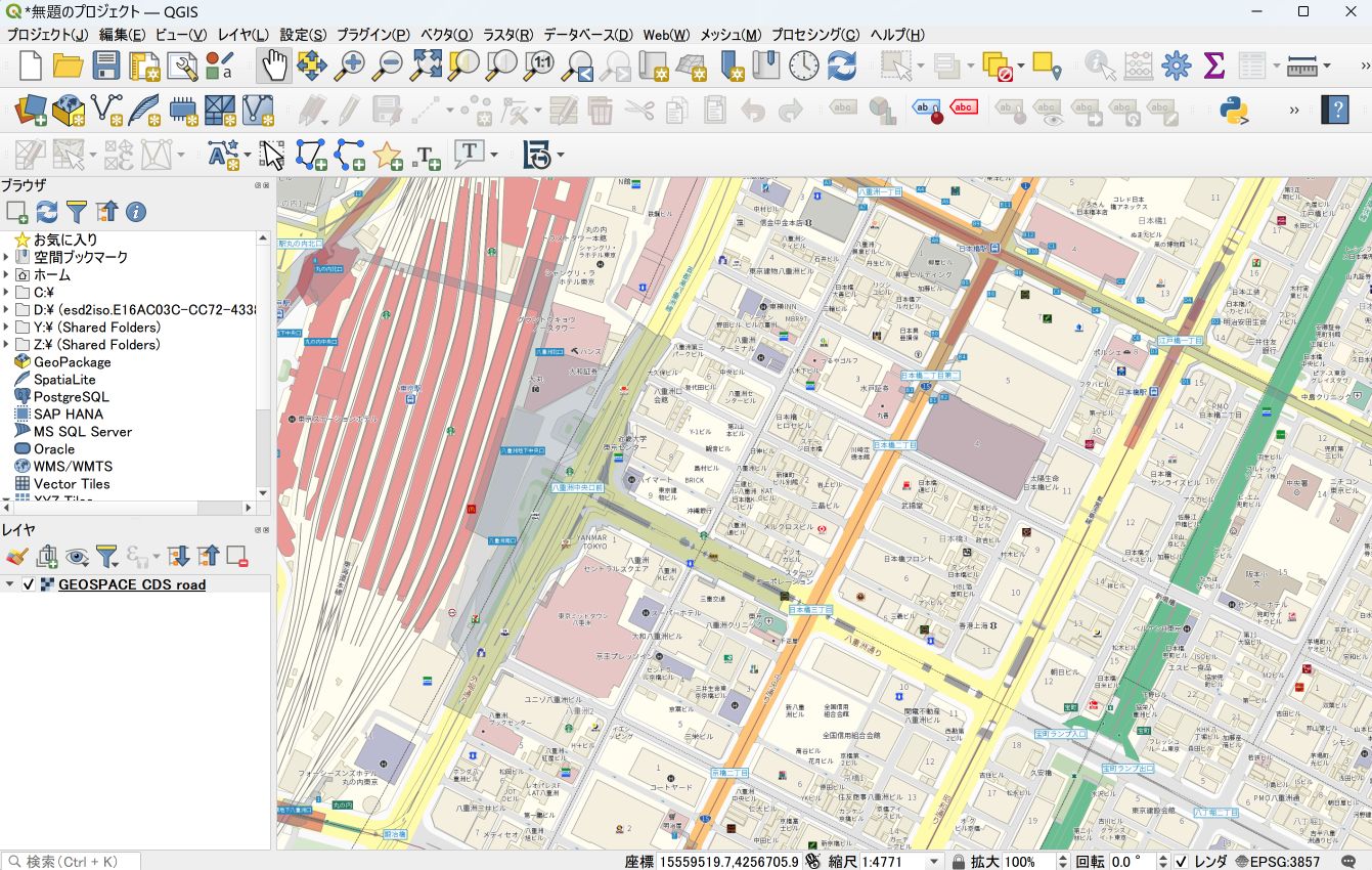 The GEOSPACE Electronic Map showing the area around Tokyo Station