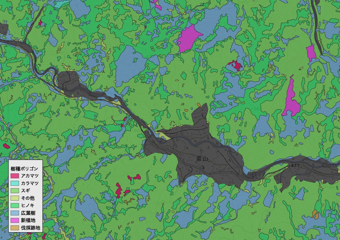 Tree species polygons displayed