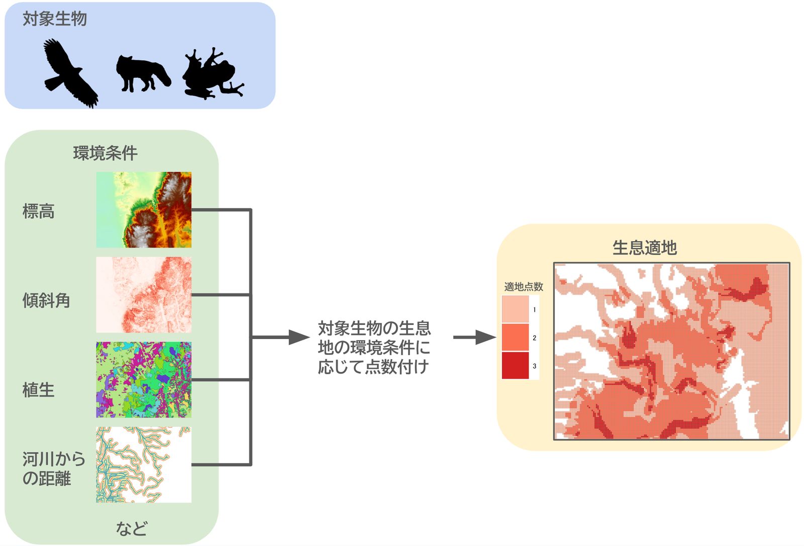 How habitat suitability analysis works (created by processing Fundamental Geospatial Data (Geospatial Information Authority of Japan), “National Land Numerical Information (River)” (Ministry of Land, Infrastructure, Transport and Tourism), and the 5th National Survey on the Natural Environment vegetation survey results (Biodiversity Center of Japan, Ministry of the Environment))