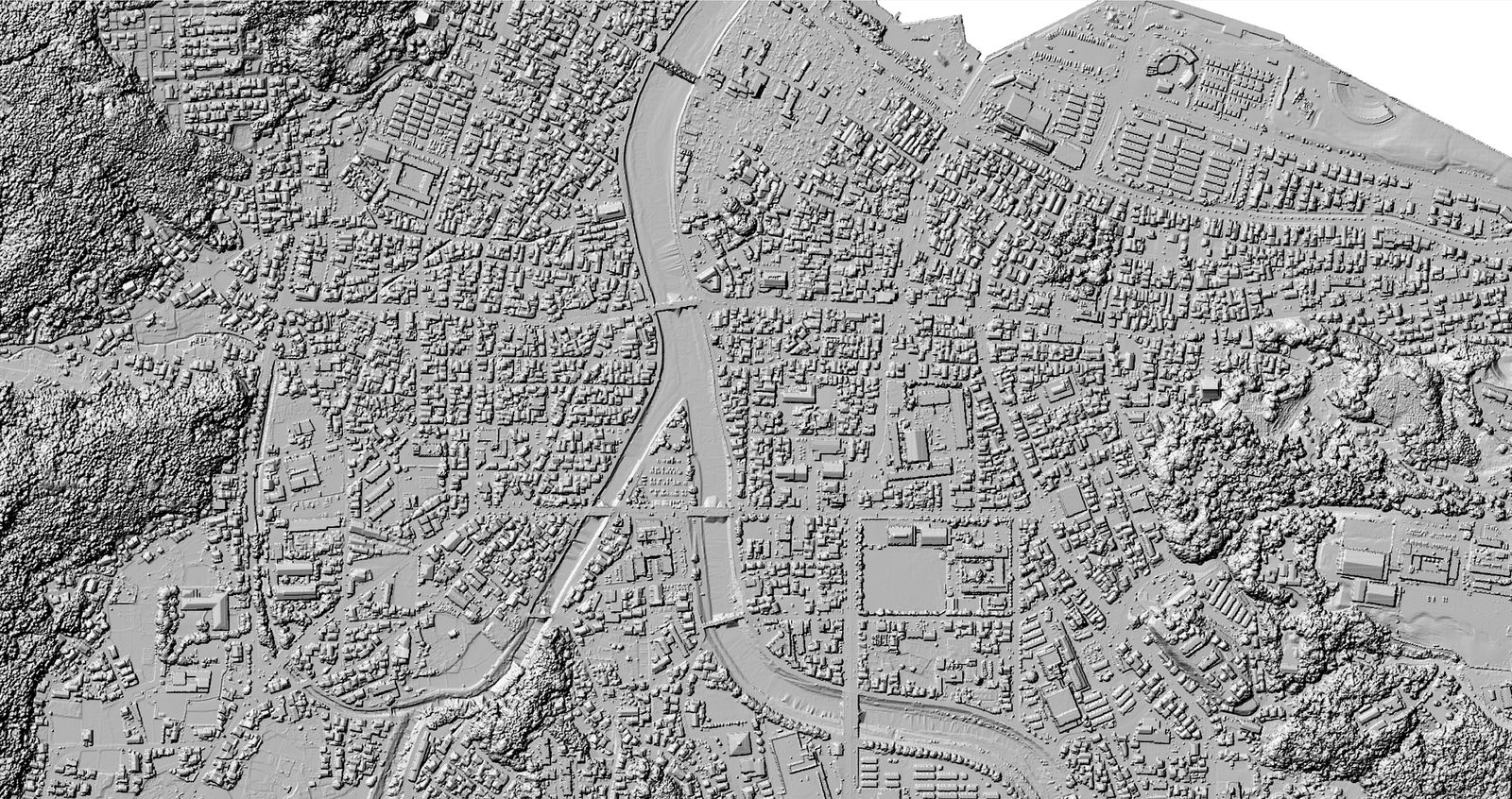 The DSM data displayed as a hillshade (created by processing “Digital Elevation Model DEM 0.5m, Digital Elevation Model DCHM 0.5m (Noto Region 2024)” (Forestry Agency))
